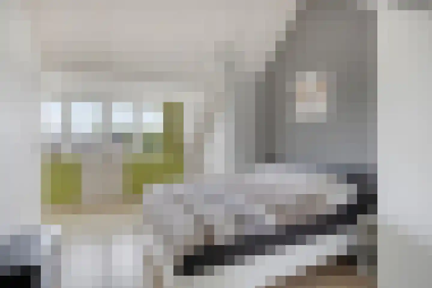 Kamgras 105 Houten thumbnail 29