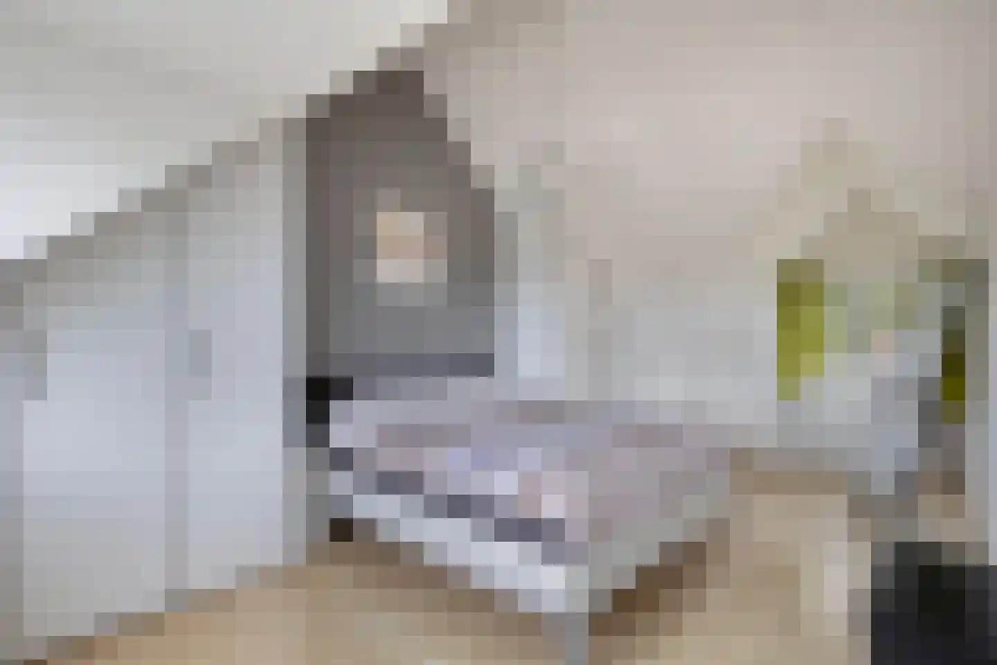 Kamgras 105 Houten thumbnail 30
