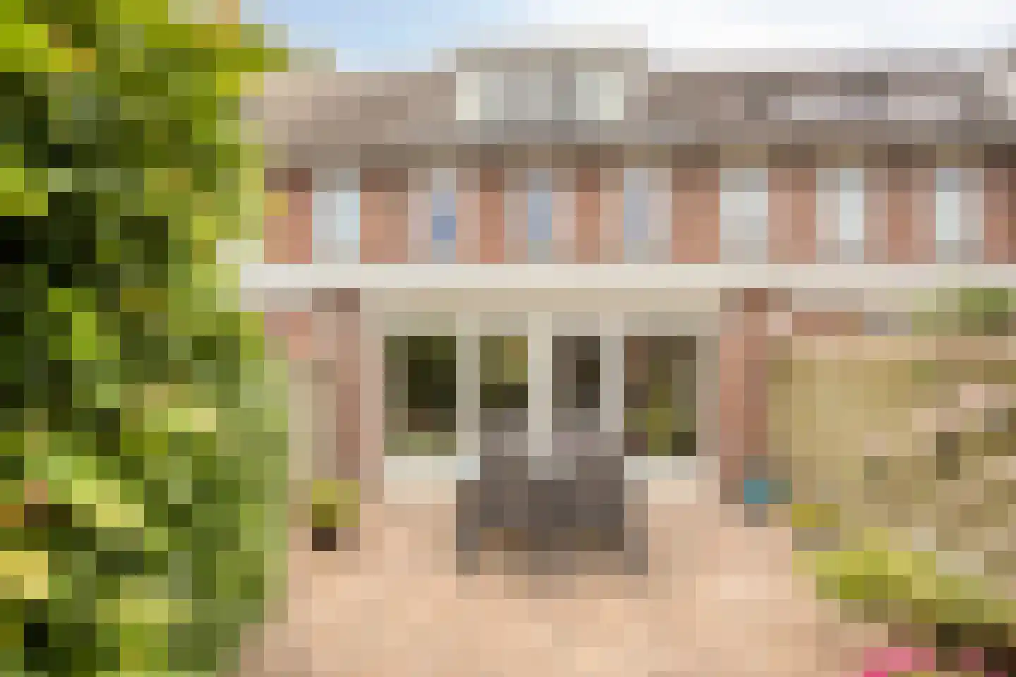 Kamgras 105 Houten thumbnail 32