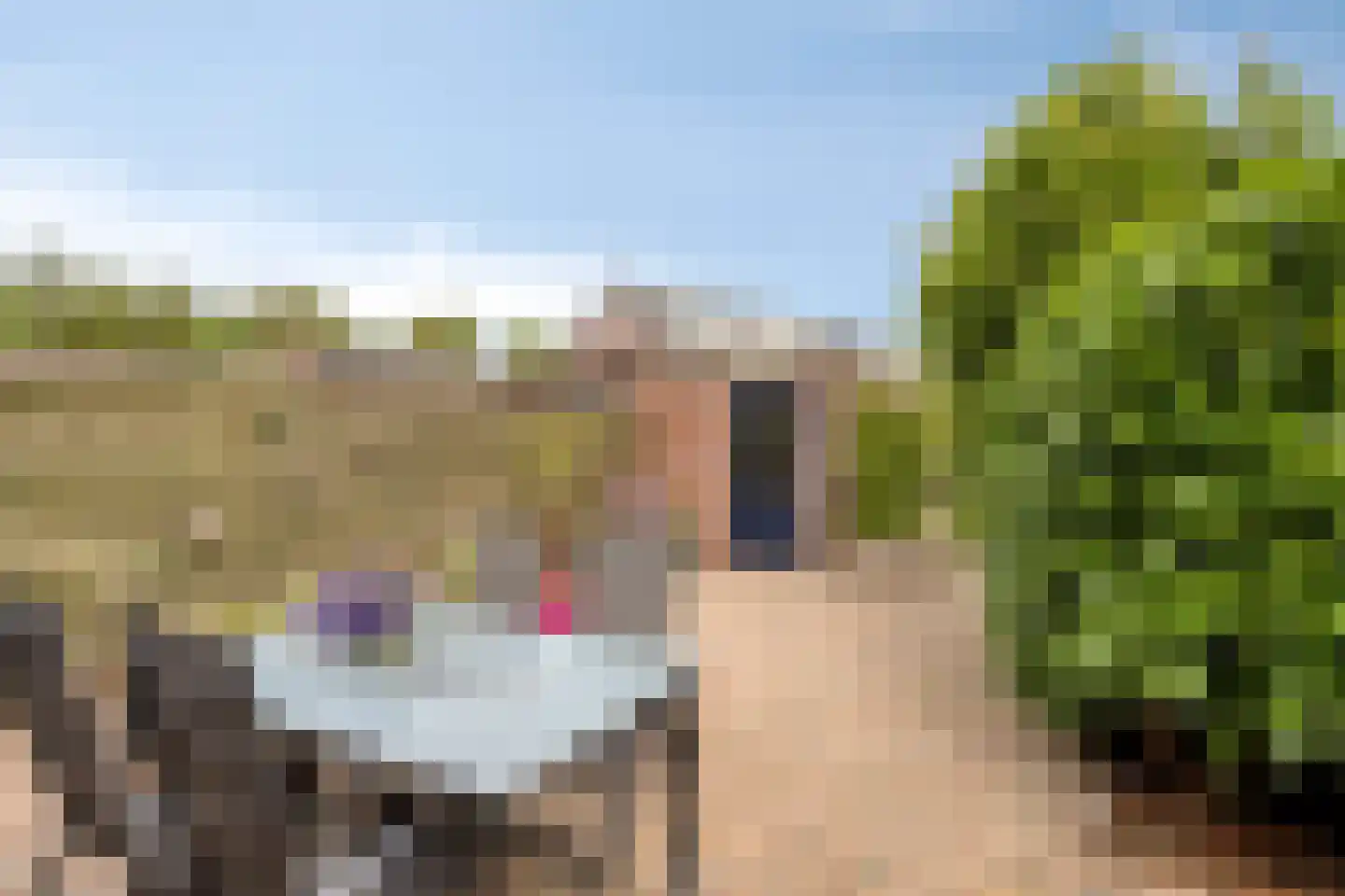 Kamgras 105 Houten thumbnail 33