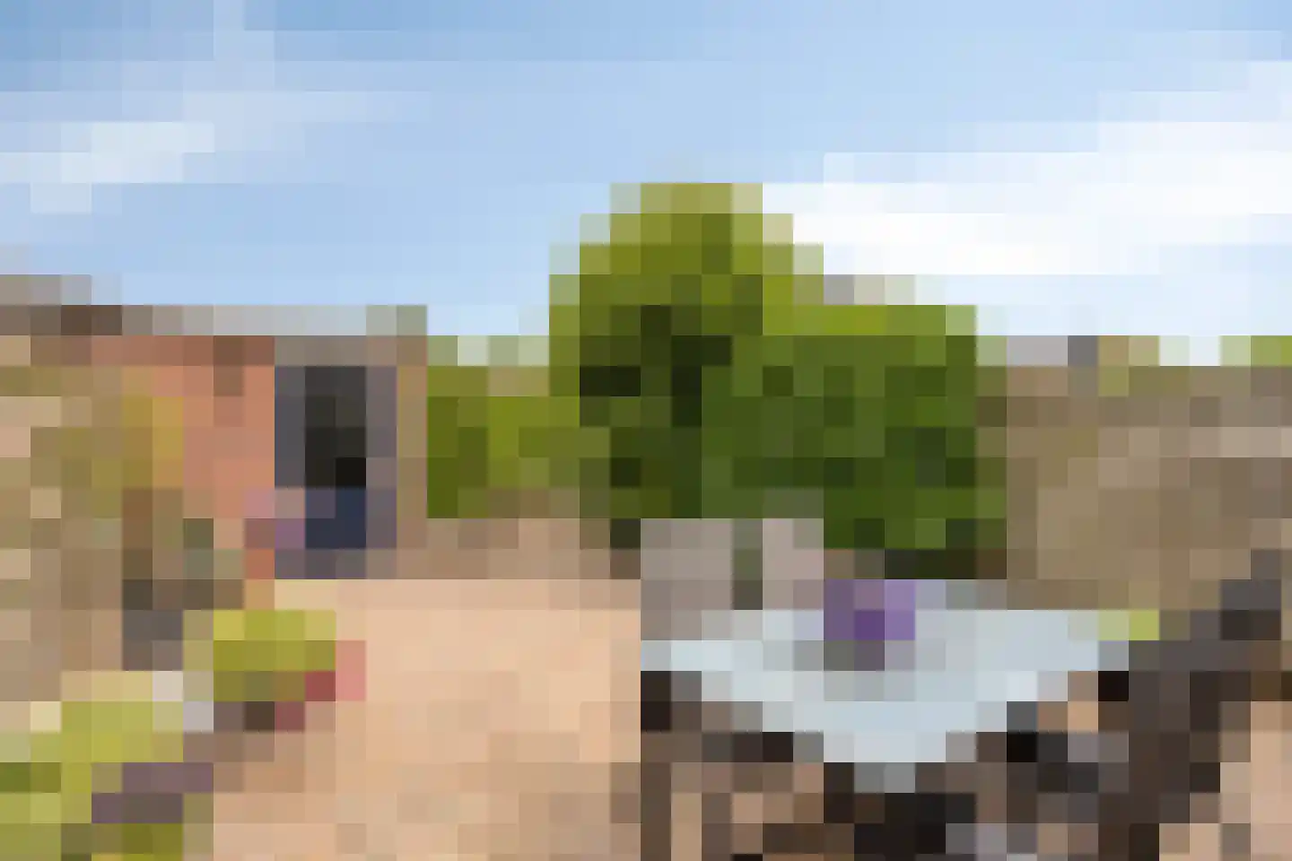 Kamgras 105 Houten thumbnail 34