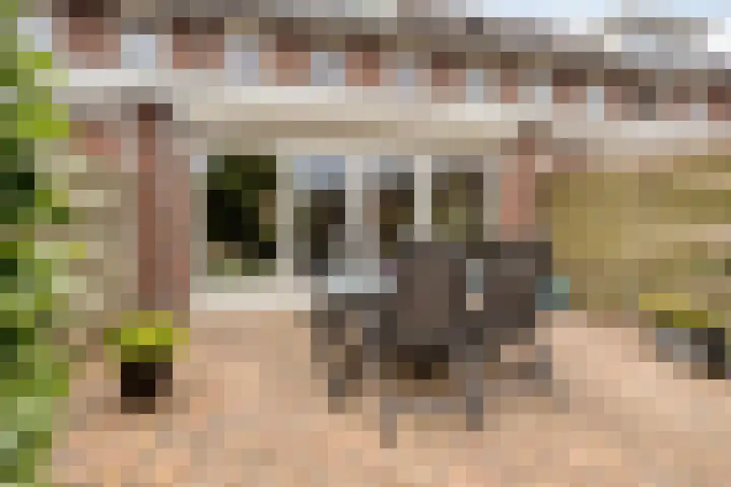 Kamgras 105 Houten thumbnail 35