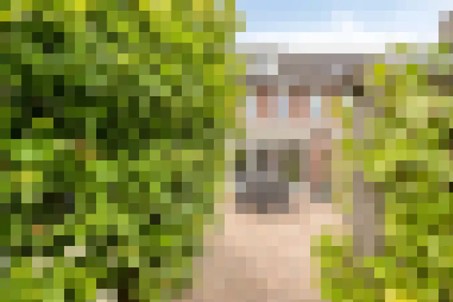 Kamgras 105 Houten thumbnail 37