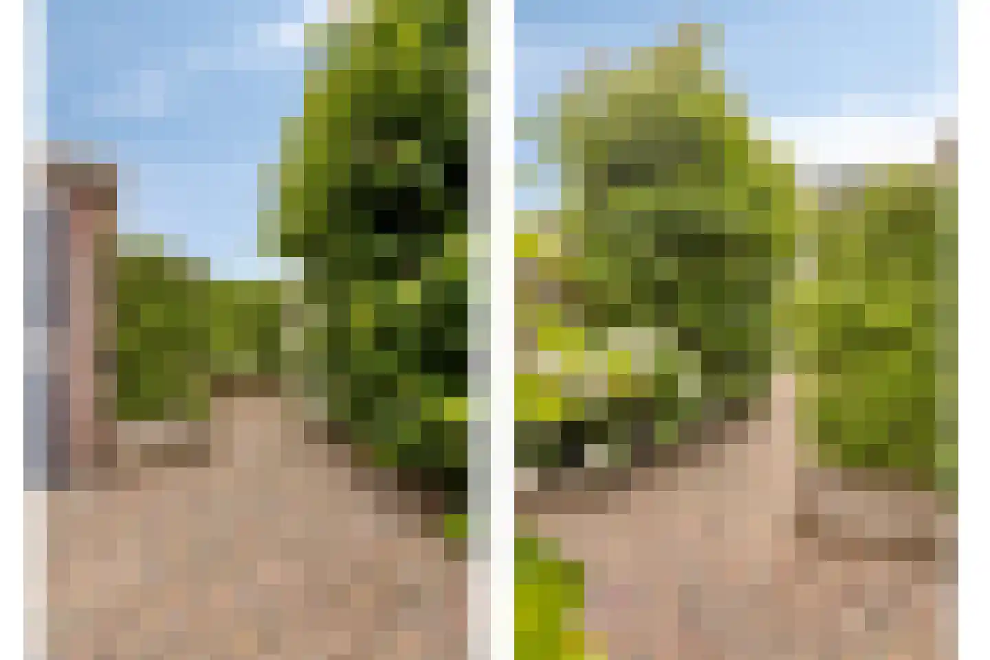 Kamgras 105 Houten thumbnail 38