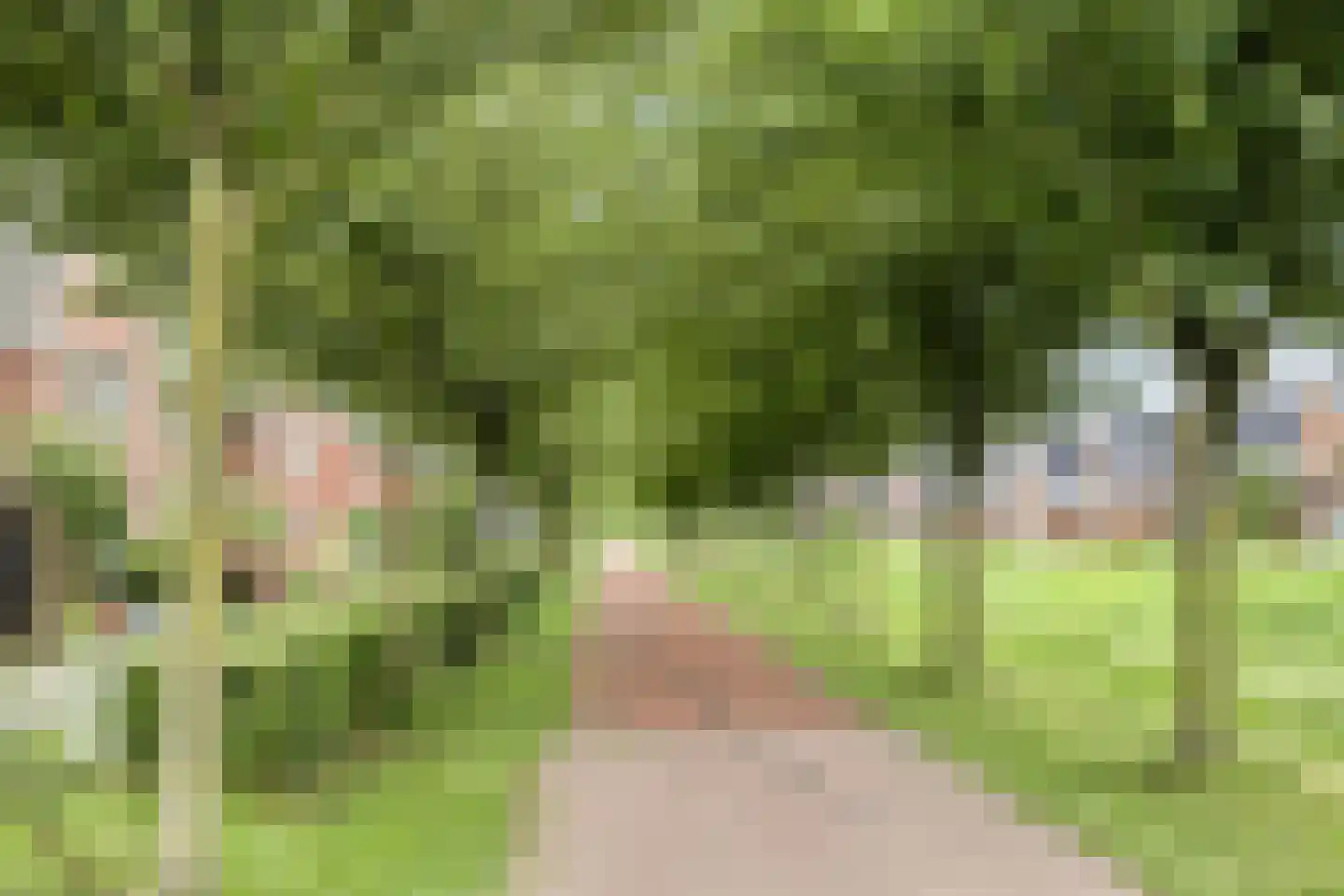 Kamgras 105 Houten thumbnail 41