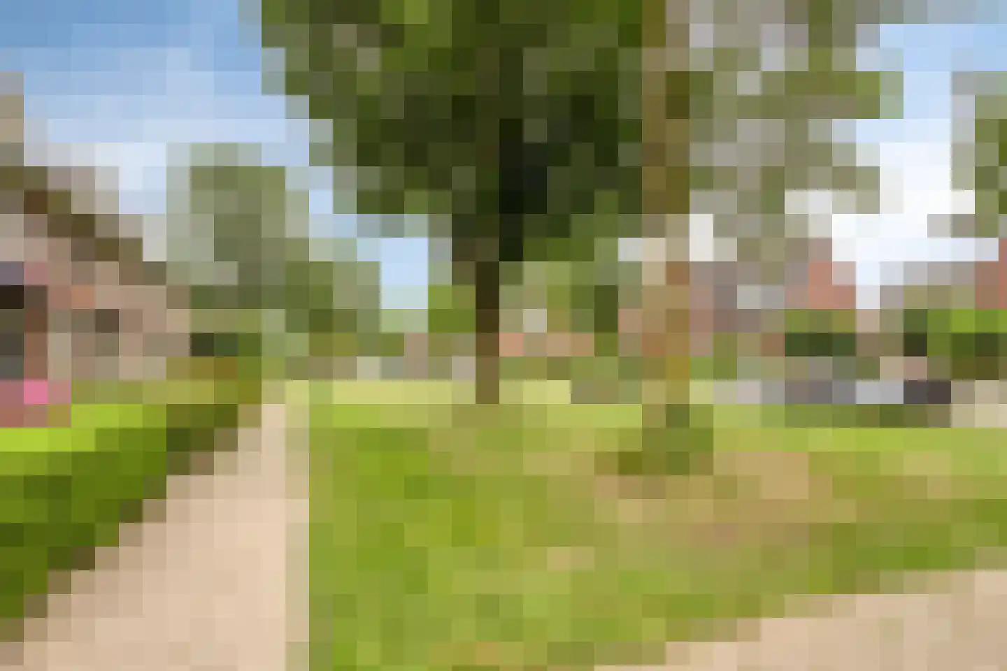 Kamgras 105 Houten thumbnail 42
