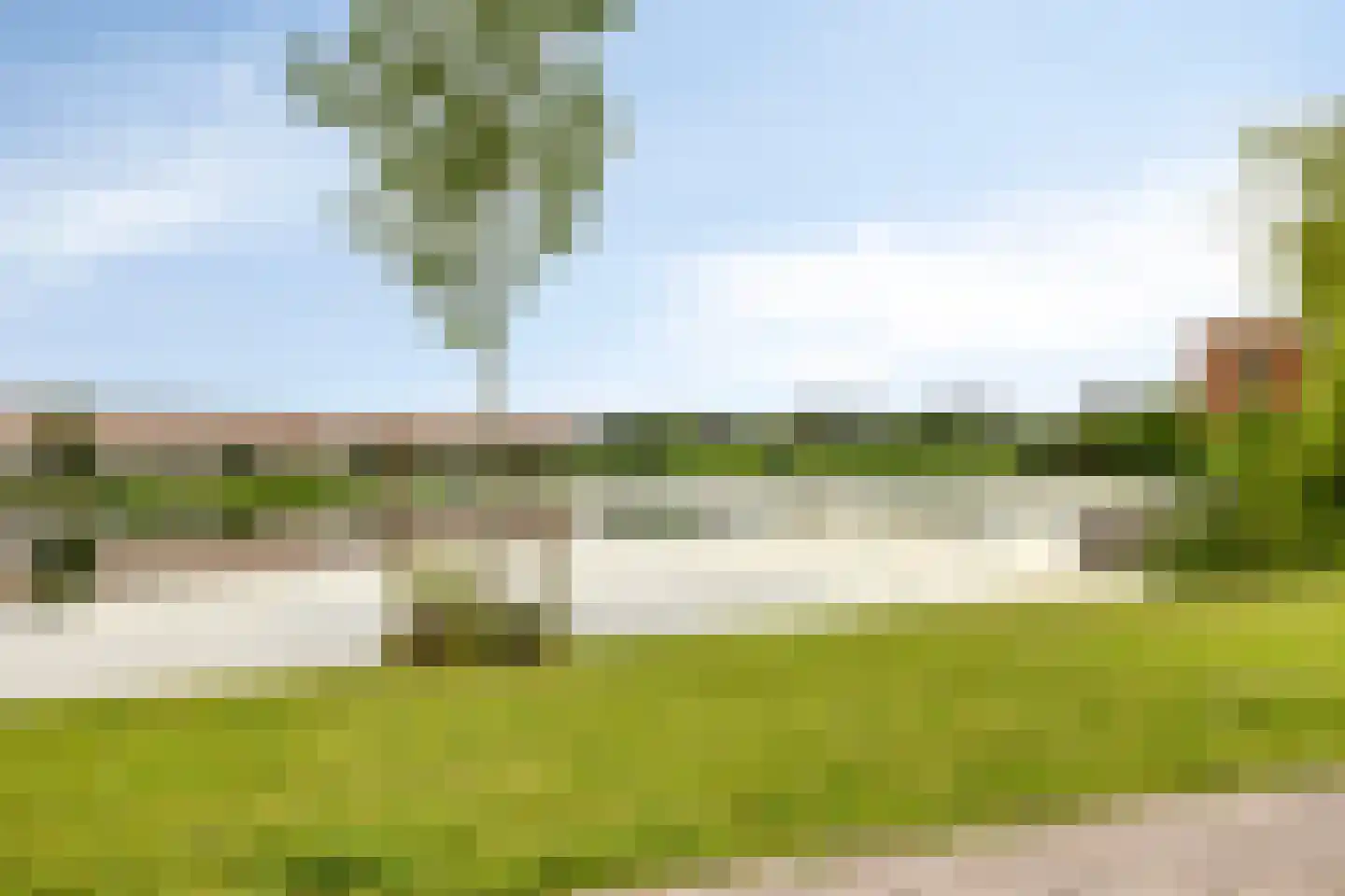 Kamgras 105 Houten thumbnail 44
