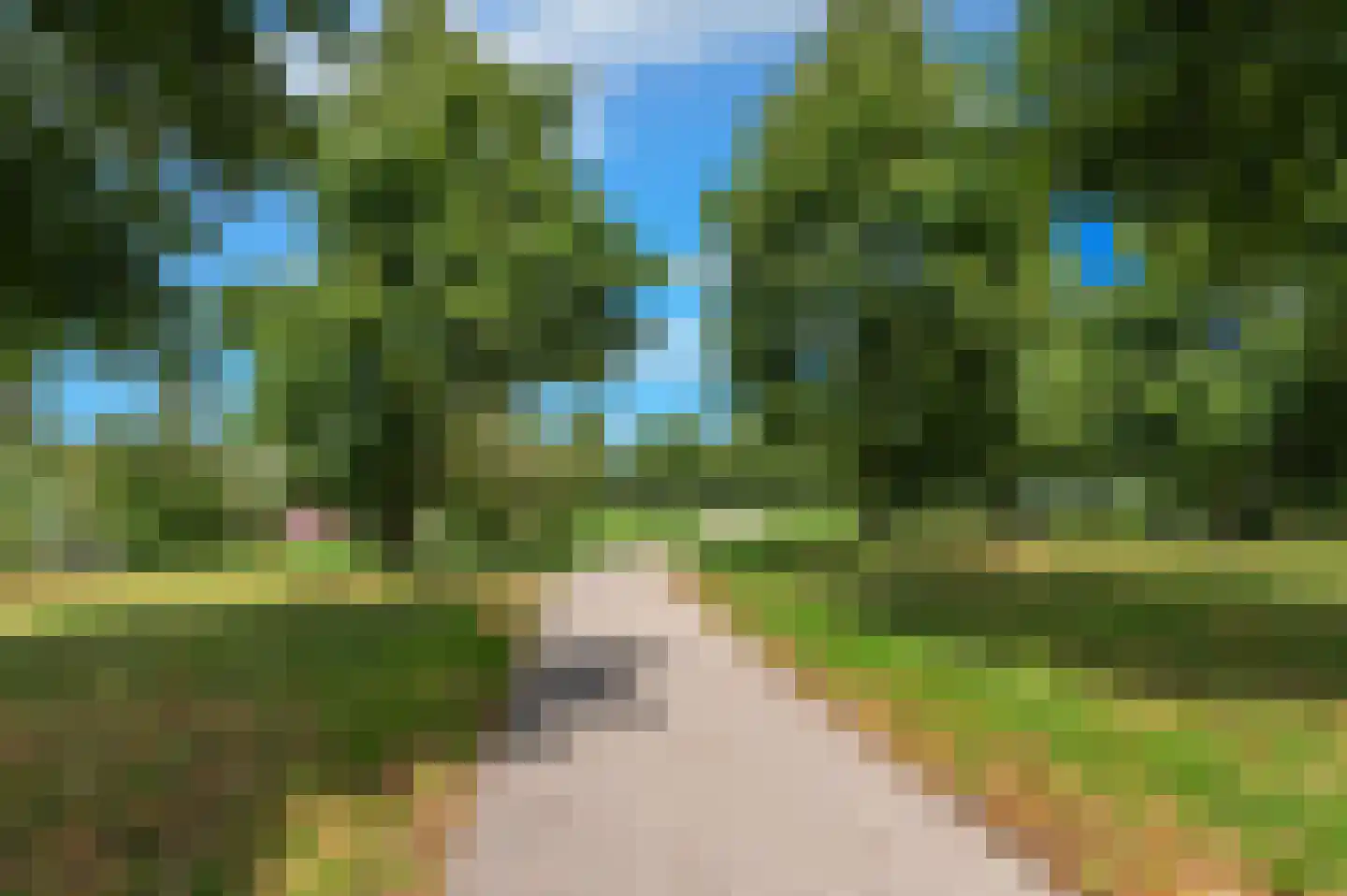 Kamgras 105 Houten thumbnail 46