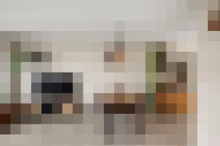 Kamgras 12 Velserbroek thumbnail 13