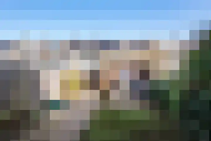 Kamgras 12 Velserbroek thumbnail 17