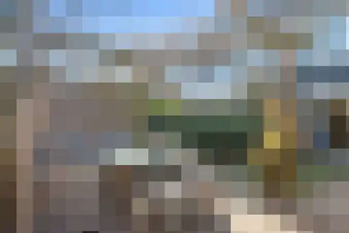 Kamgras 12 Velserbroek thumbnail 18