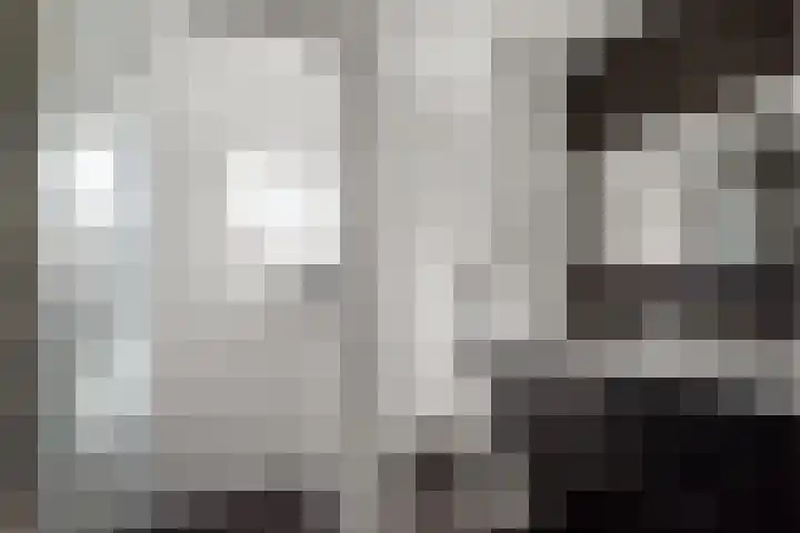Kamgras 12 Velserbroek thumbnail 25