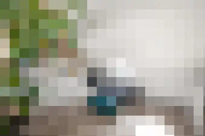 Kamgras 12 Velserbroek thumbnail 30