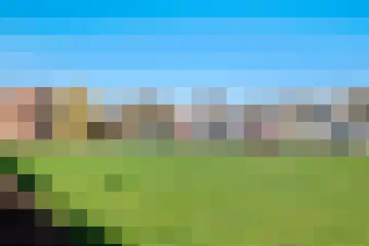 Kamgras 12 Velserbroek thumbnail 33