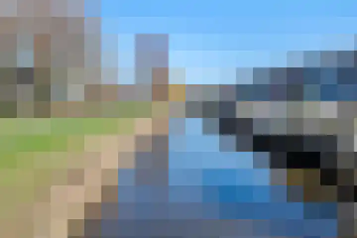 Kamgras 12 Velserbroek thumbnail 35