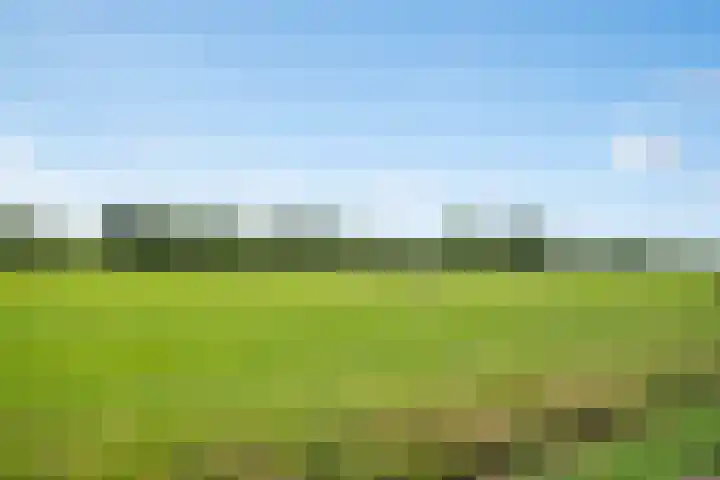 Kamgras 12 Velserbroek thumbnail 37