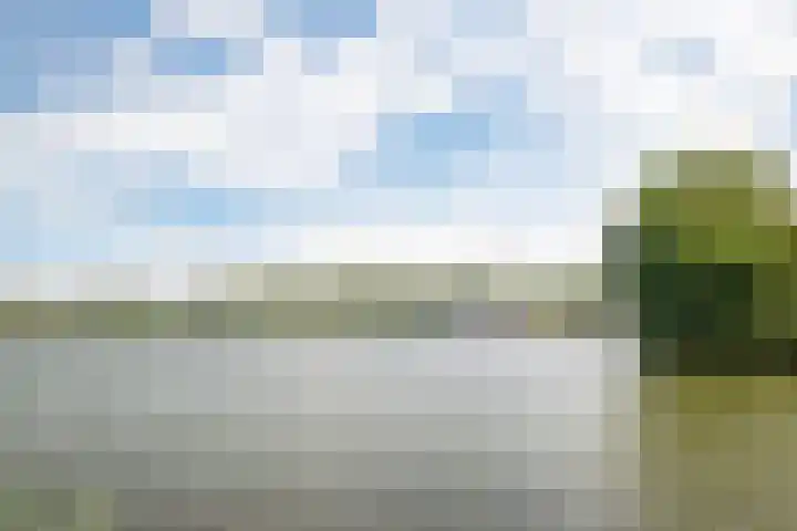 Kamgras 12 Velserbroek thumbnail 38