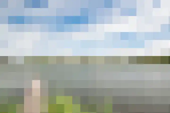 Kamgras 12 Velserbroek thumbnail 39