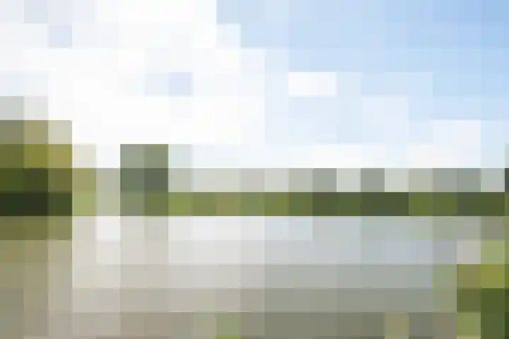 Kamgras 12 Velserbroek thumbnail 40