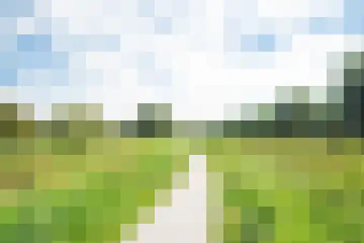 Kamgras 12 Velserbroek thumbnail 42