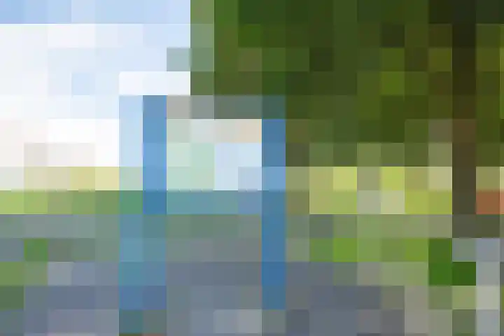 Kamgras 12 Velserbroek thumbnail 44