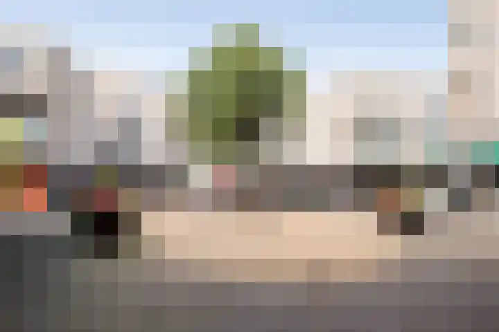Kamgras 12 Velserbroek thumbnail 47