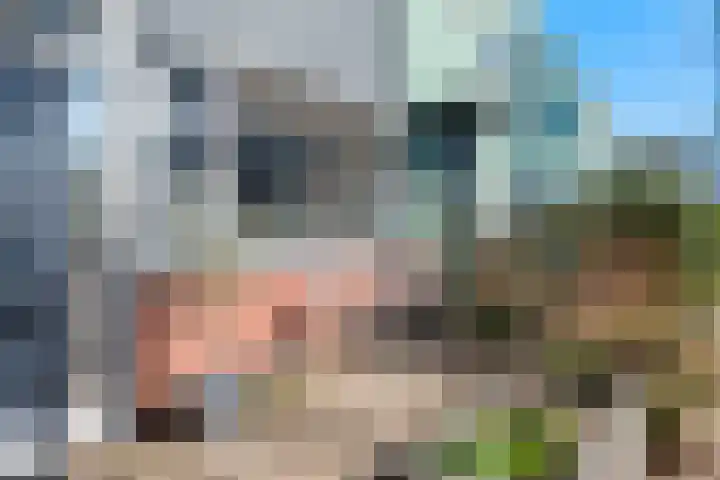 Kamgras 12 Velserbroek thumbnail 7