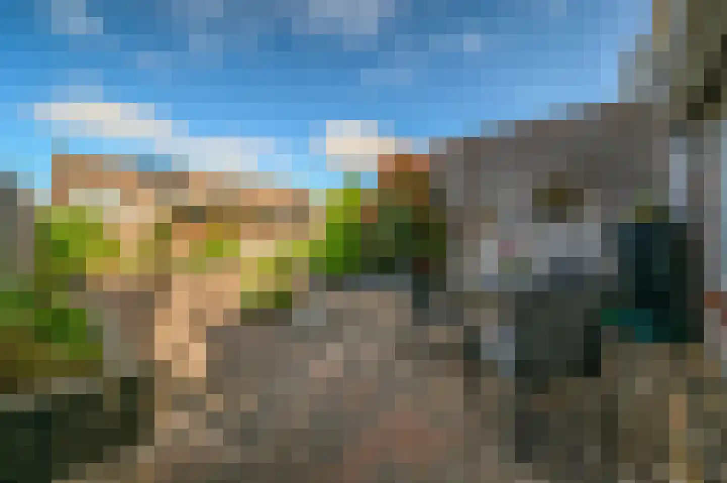 Kamgras 13 Wilnis thumbnail 14