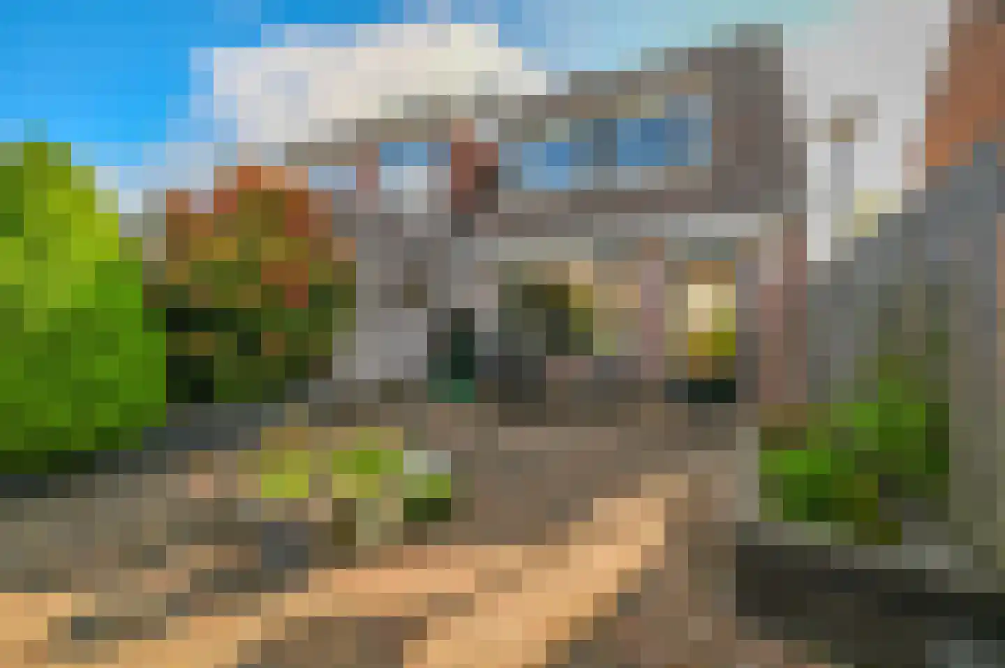 Kamgras 13 Wilnis thumbnail 16