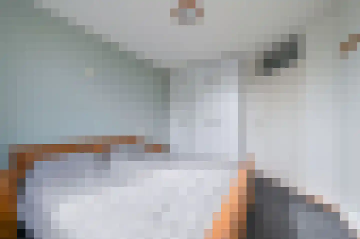 Kamgras 13 Wilnis thumbnail 21