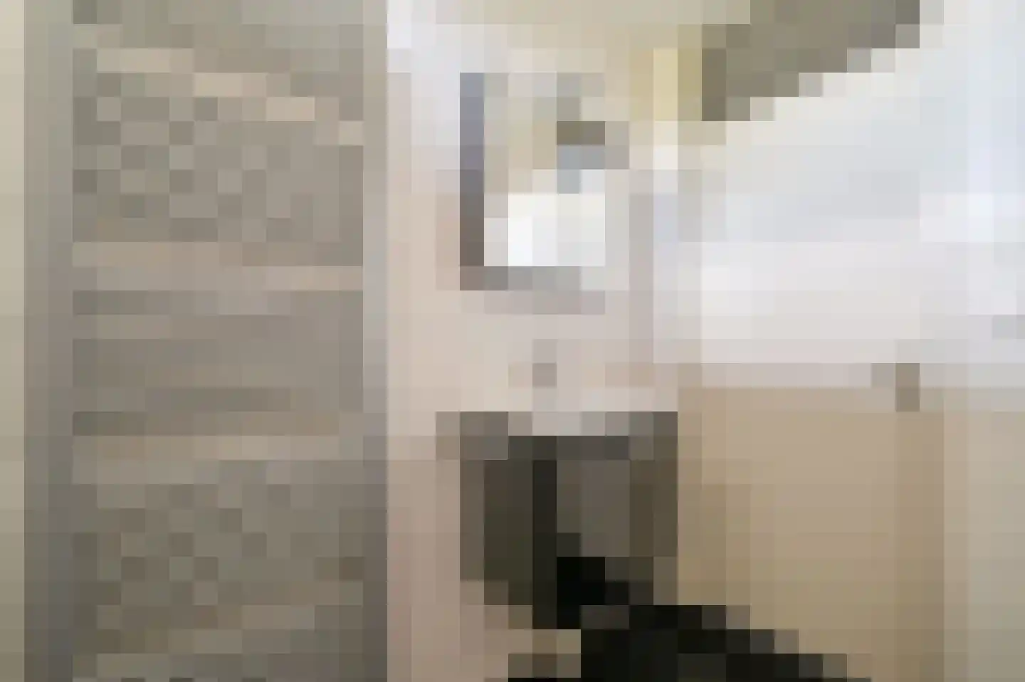 Kamgras 13 Wilnis thumbnail 24