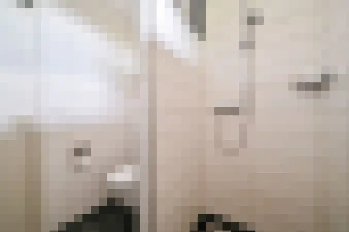 Kamgras 13 Wilnis thumbnail 25