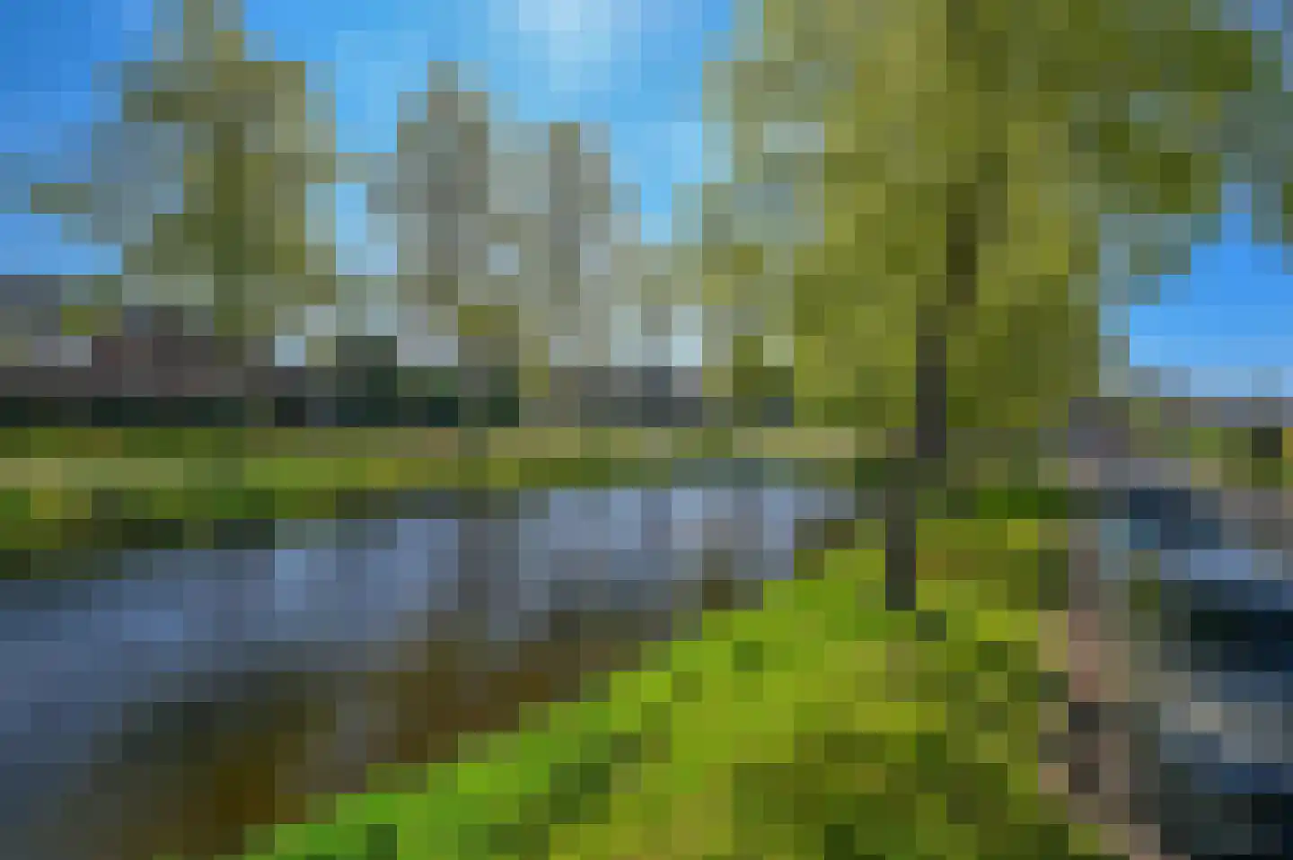 Kamgras 13 Wilnis thumbnail 34