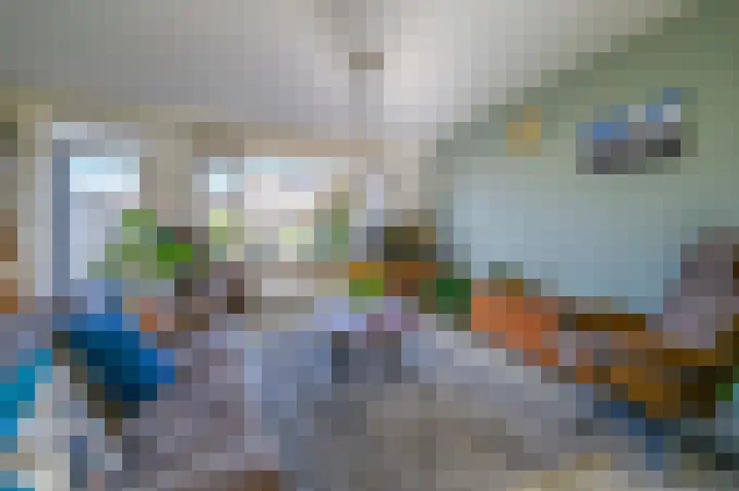 Kamgras 13 Wilnis thumbnail 4