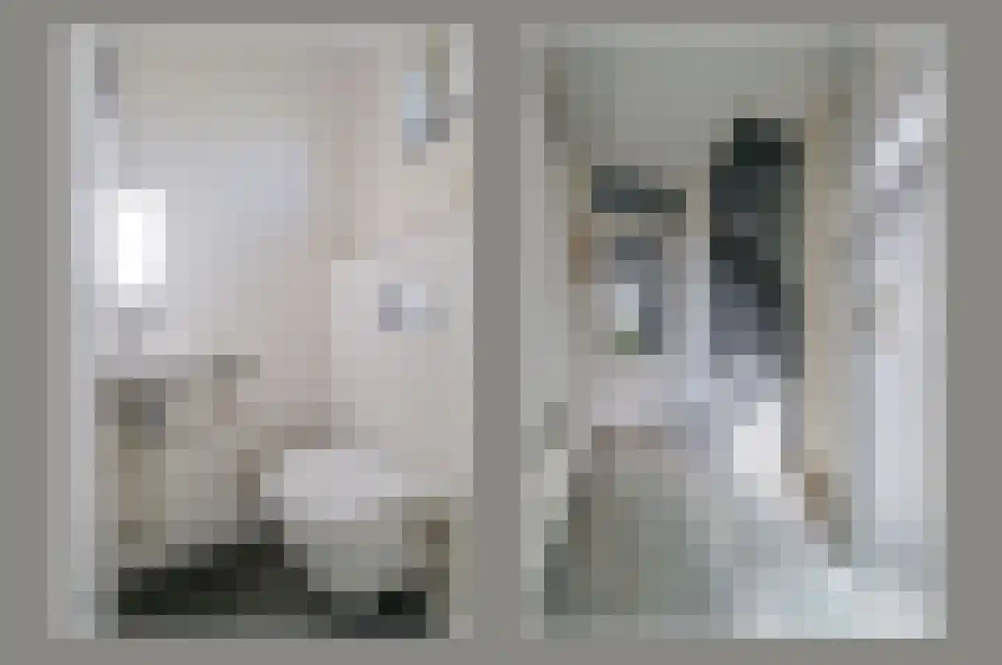 Kamgras 13 Wilnis thumbnail 6