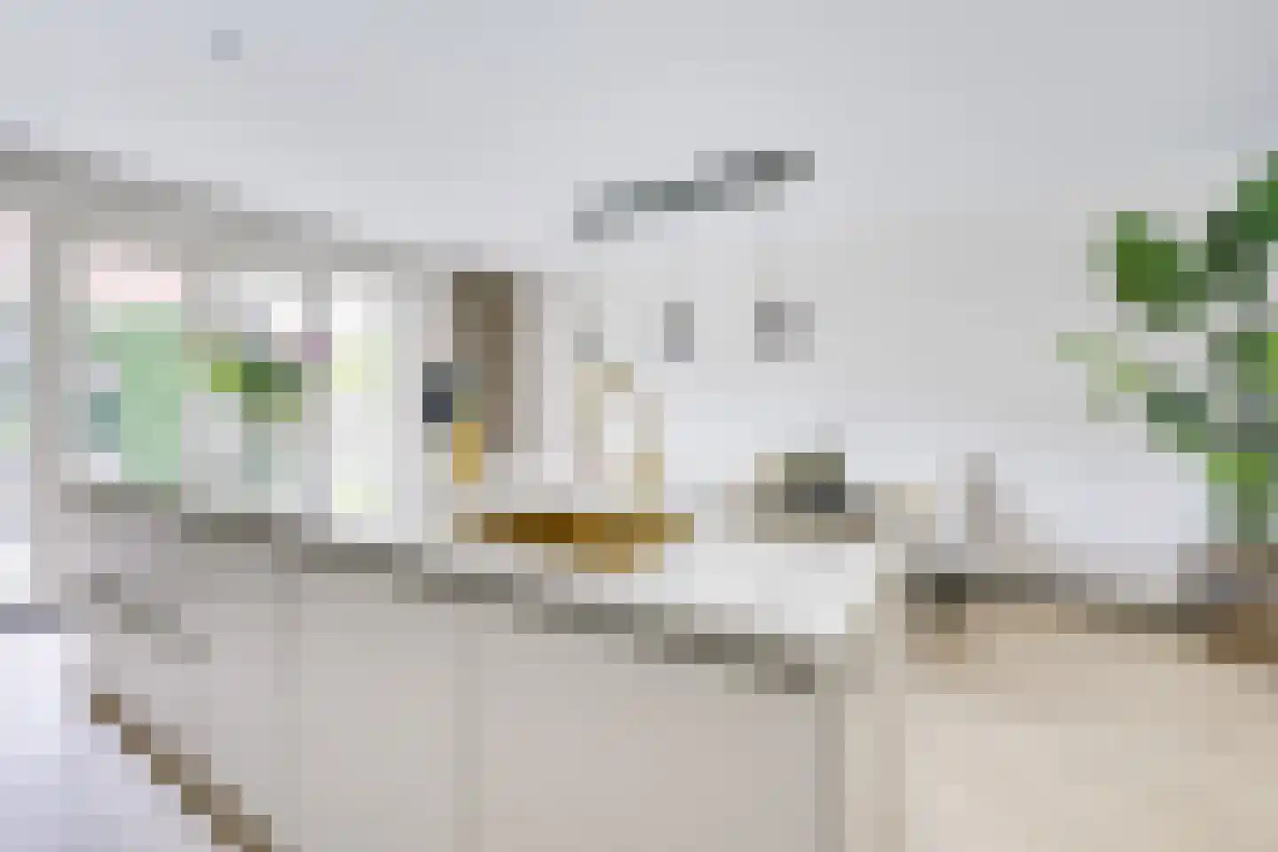 Kamgras 163 Houten thumbnail 12