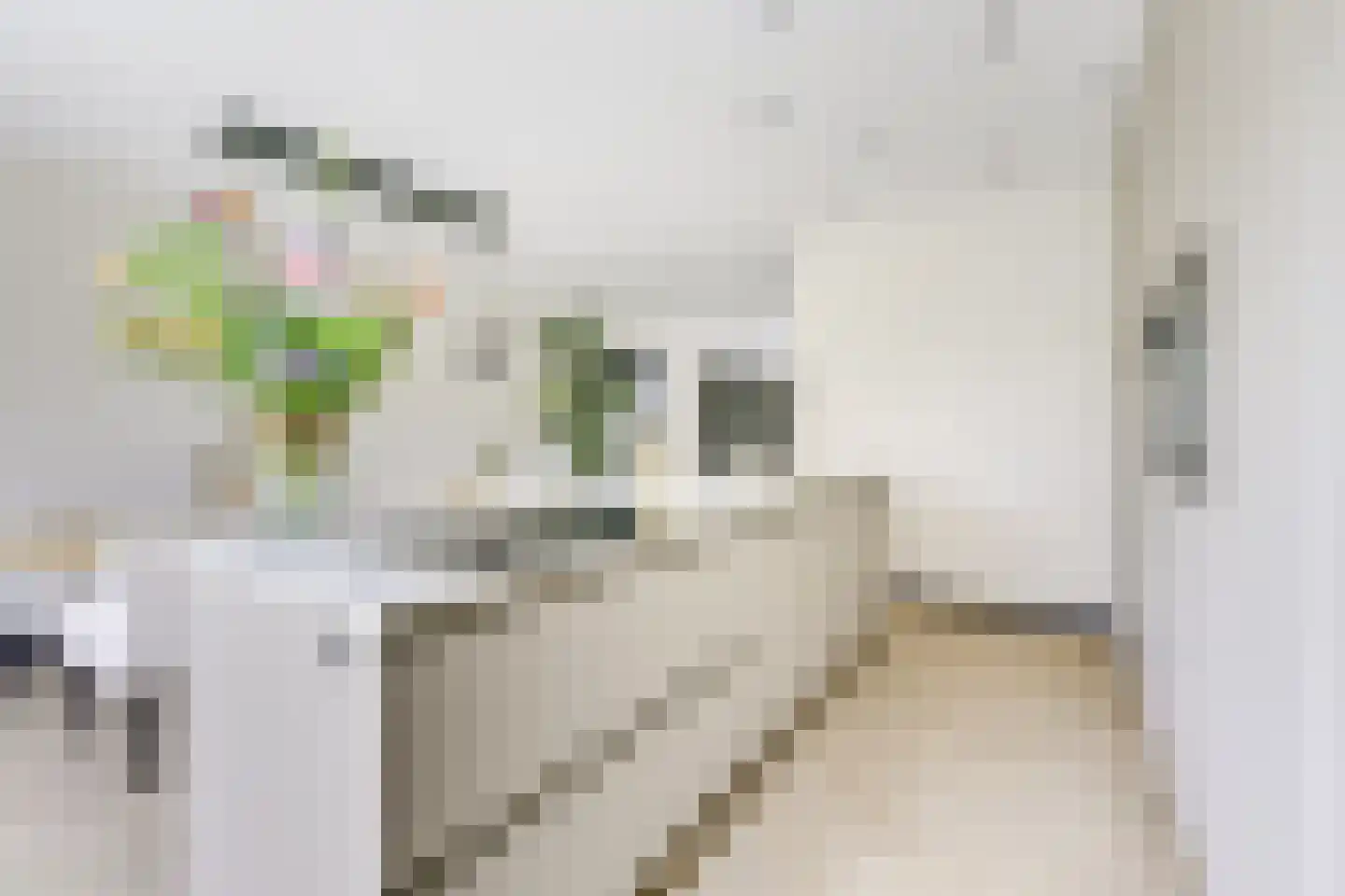 Kamgras 163 Houten thumbnail 13