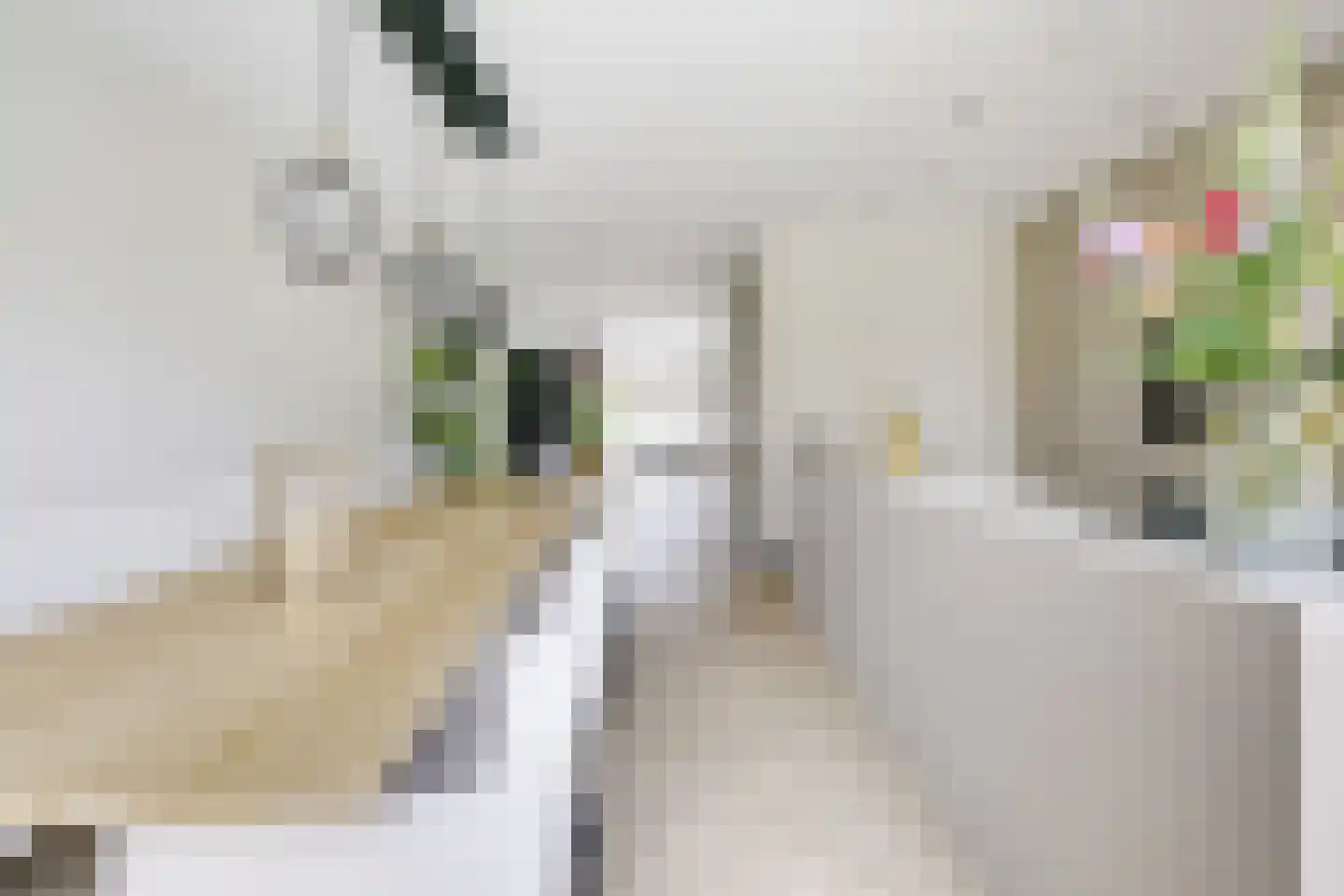 Kamgras 163 Houten thumbnail 14