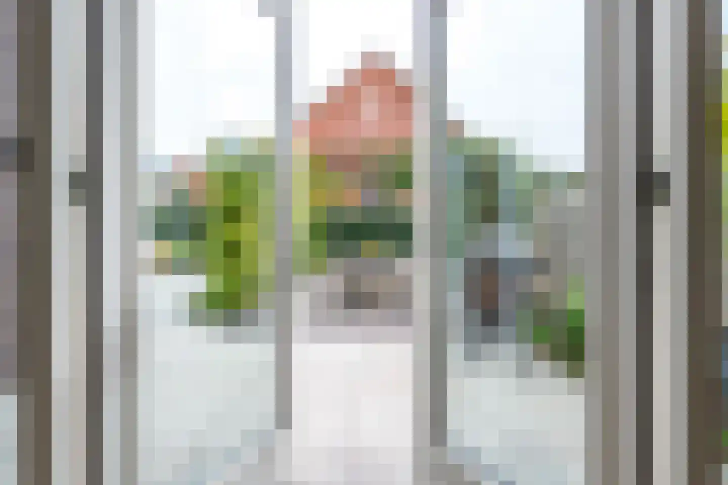 Kamgras 163 Houten thumbnail 15