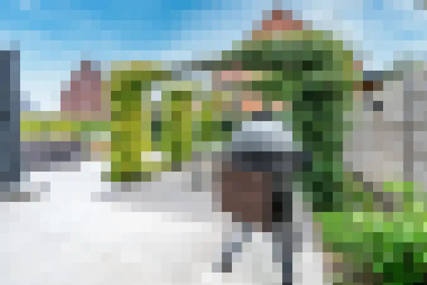 Kamgras 163 Houten thumbnail 16