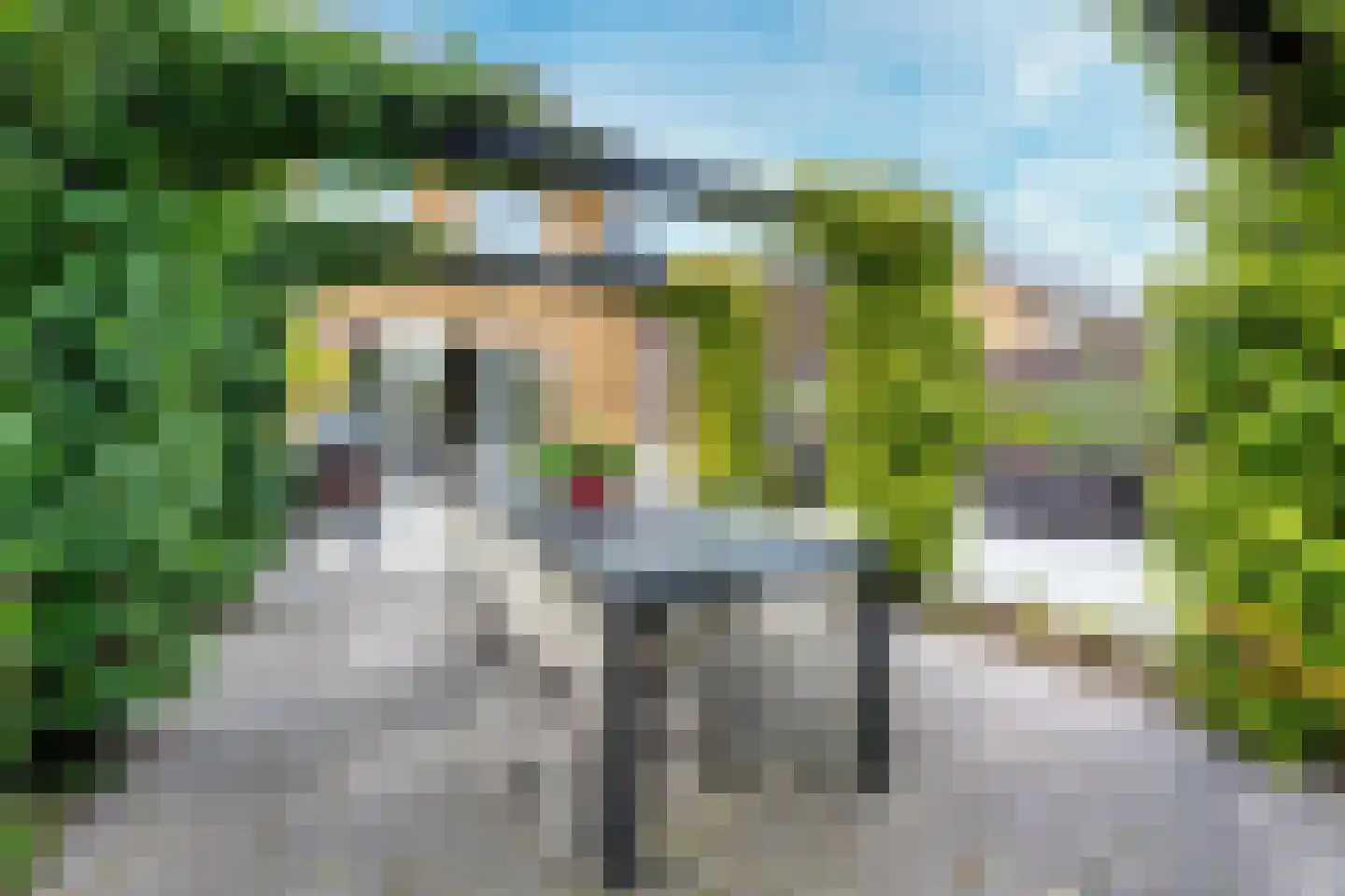 Kamgras 163 Houten thumbnail 17
