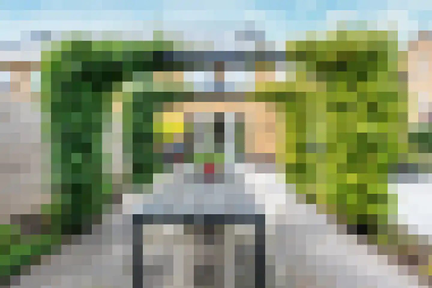 Kamgras 163 Houten thumbnail 18