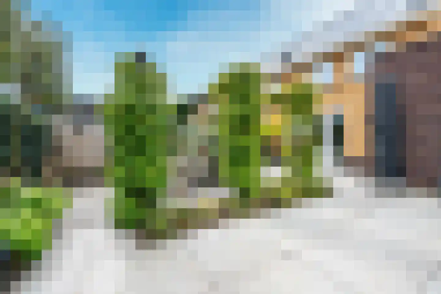 Kamgras 163 Houten thumbnail 19