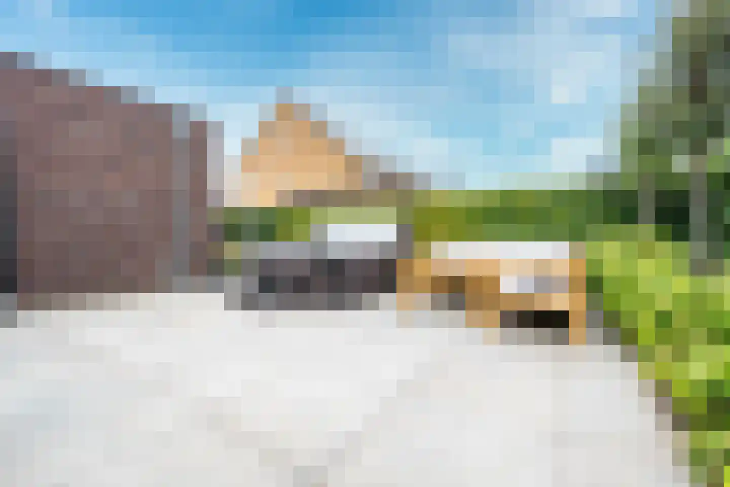 Kamgras 163 Houten thumbnail 20