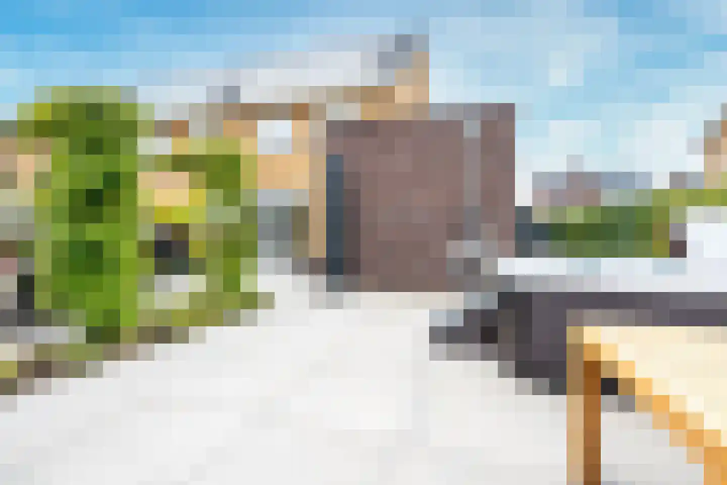 Kamgras 163 Houten thumbnail 21