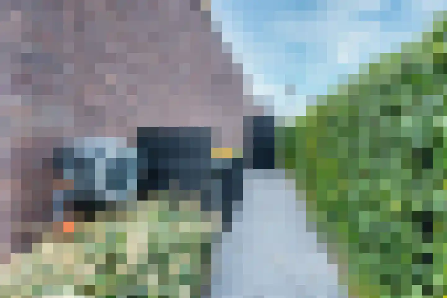 Kamgras 163 Houten thumbnail 23