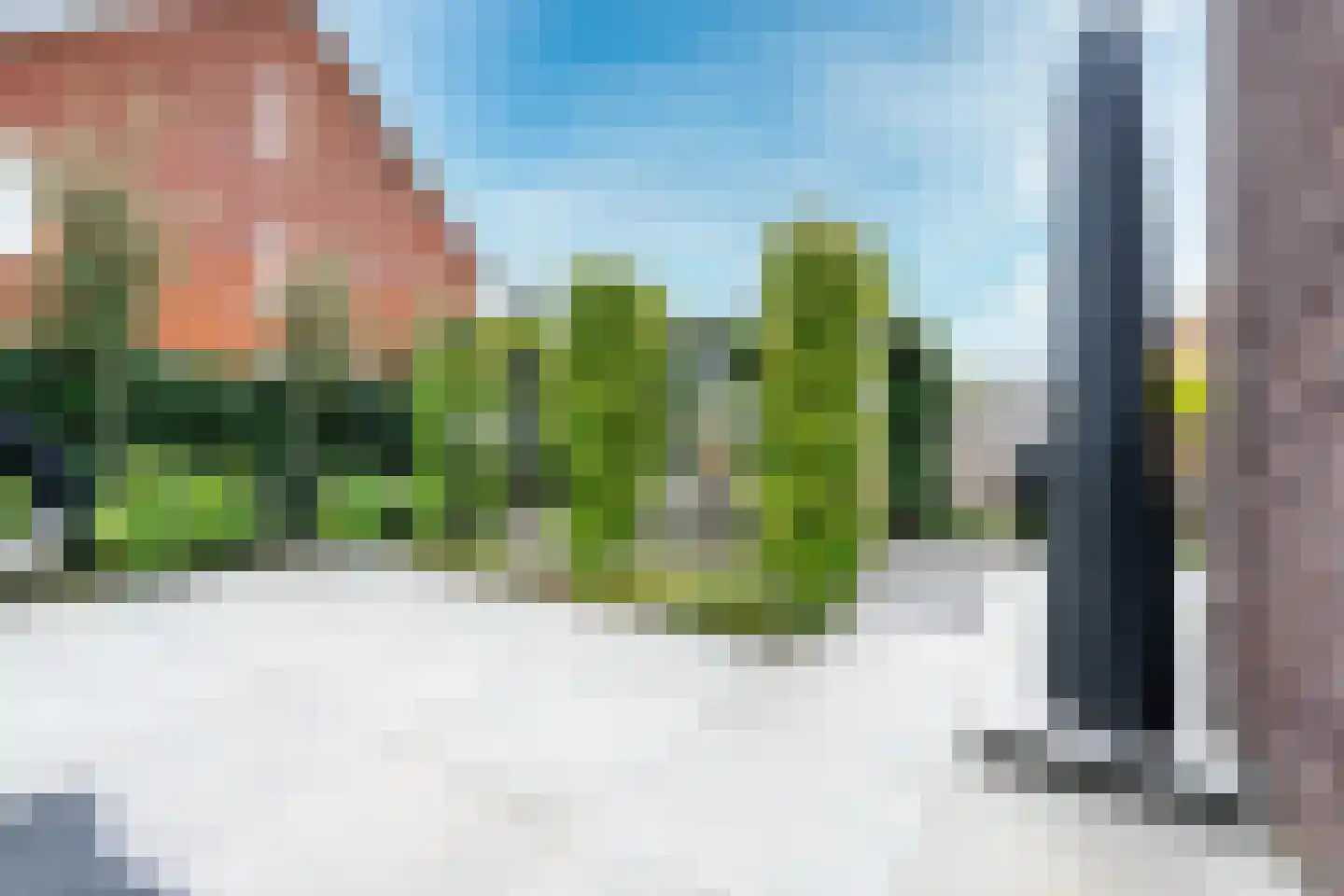Kamgras 163 Houten thumbnail 24