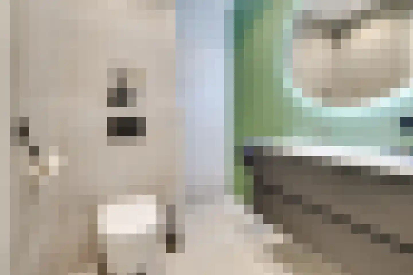Kamgras 163 Houten thumbnail 31