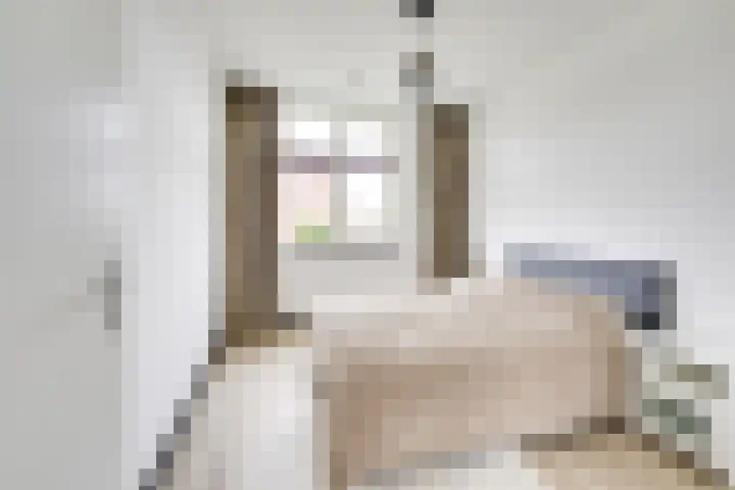 Kamgras 163 Houten thumbnail 34