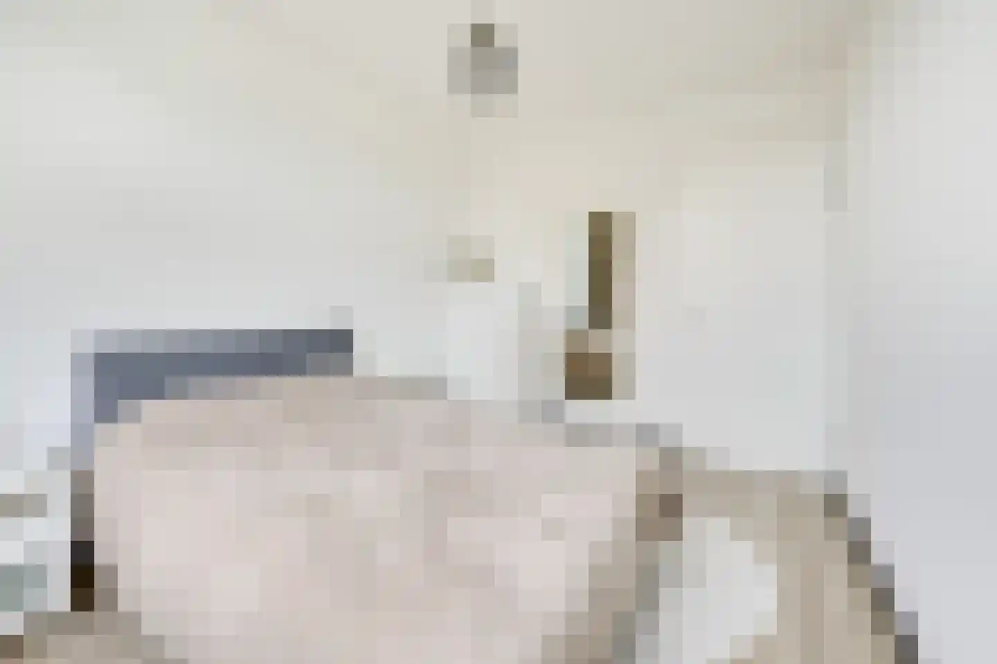Kamgras 163 Houten thumbnail 35